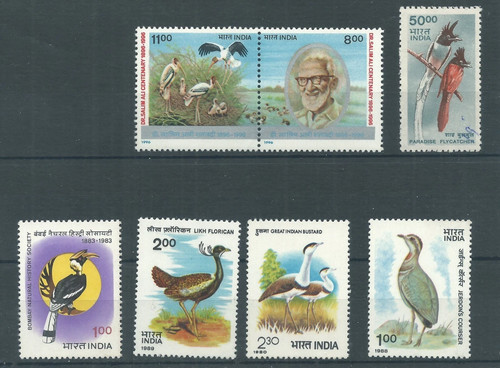 India mnh bird - india,,