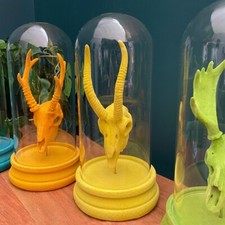 Antelope Skull Yellow Flock in