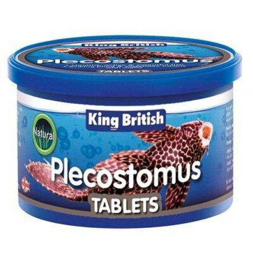 King british plecostomus food - british,