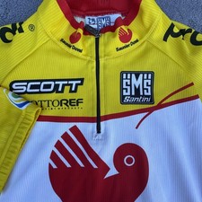 Santini SMS Saunier Duval