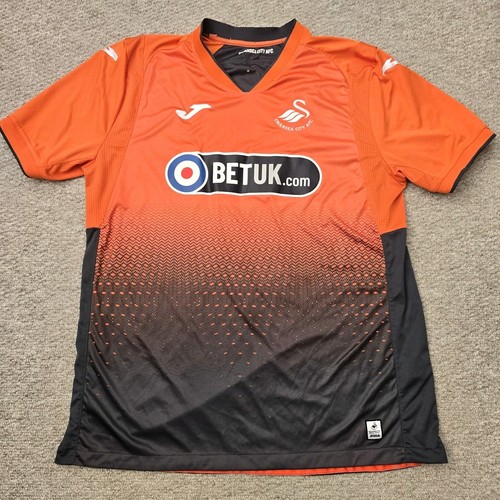 Swansea city afc - swansea,