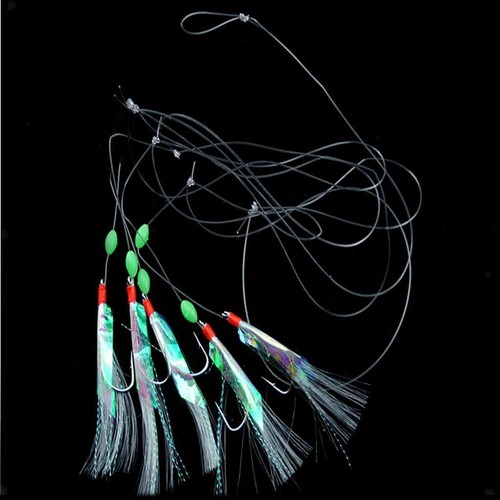 Hook sea fishing rigs - hook,