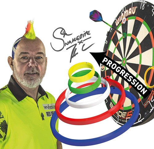 Snakebite darts practice rings - darts,