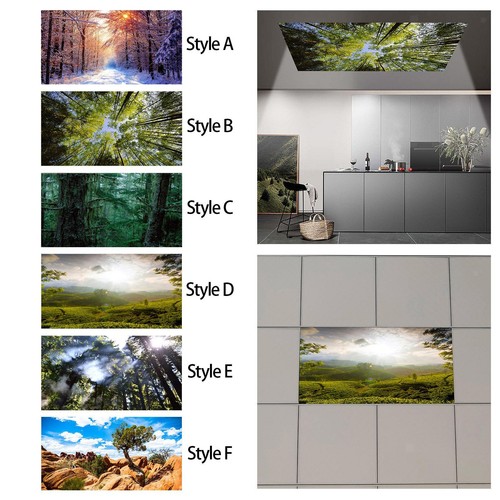 Fluorescent light cover - fluorescent,