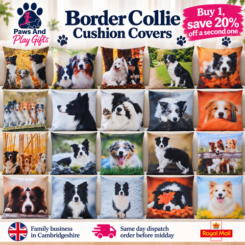 Border collie cushion cover - cushion, 45
