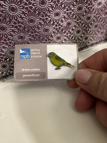 Rspb goldcrest pin badge - pin,