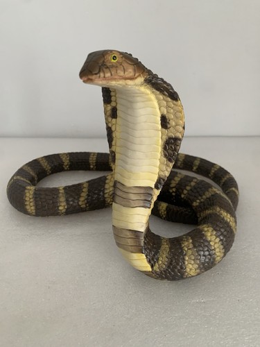 Venomous king cobra - venomous, snake