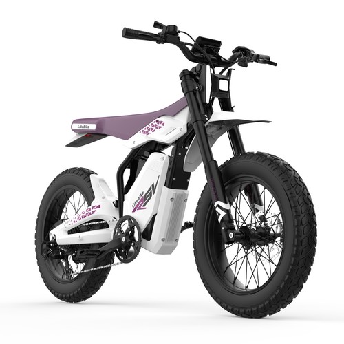 Electric dirt bike - electric,