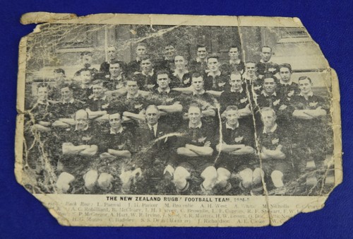 The new zealand - new, team