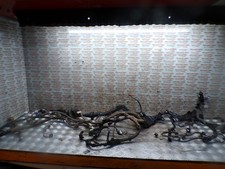 BFD081253 TOYOTA LAND CRUISER