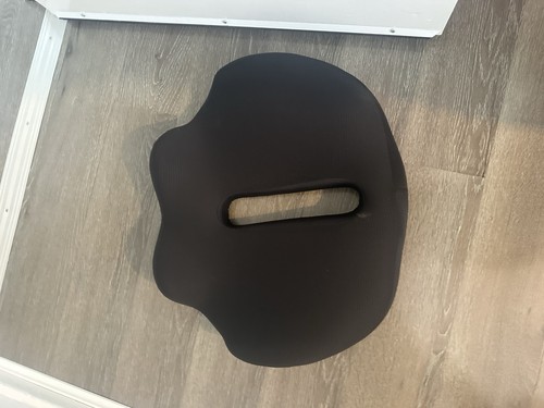 Donut seat cushion - cushion, |