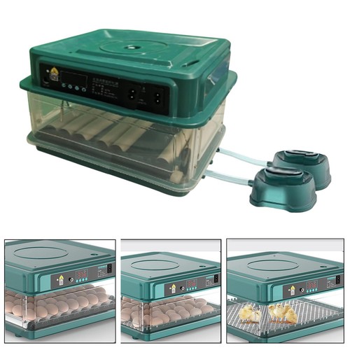 Automatic egg incubator - egg,
