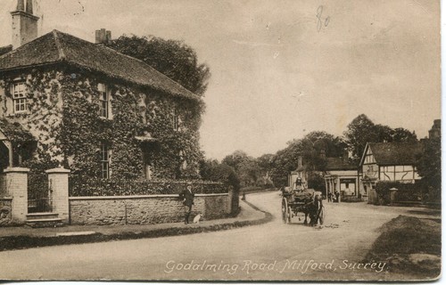 Horse and cart godalming - horse,