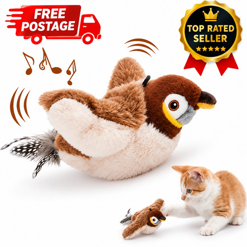 Interactive cat toy - interactive,