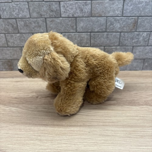 Suki golden retriever 12133 - suki,