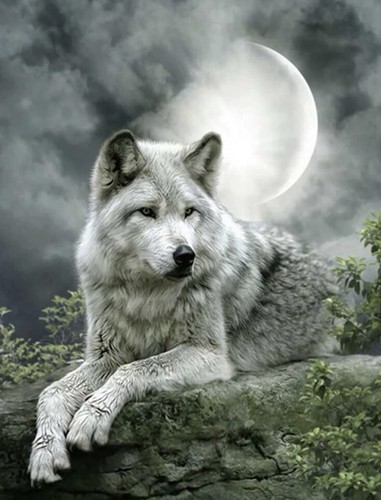 Wolf diamond painting art - diamond,