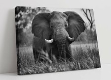 ELEPHANT 5 LARGE CANVAS WALL