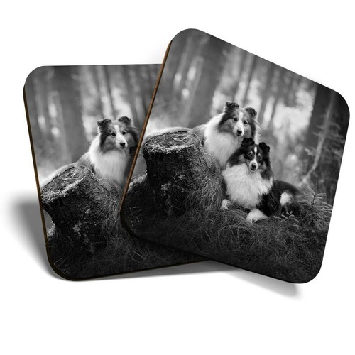 Coasters sheltie - (bw),