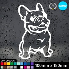 French Bulldog Frenchie