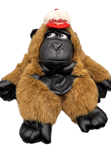 Silverback side eye gorilla - side,