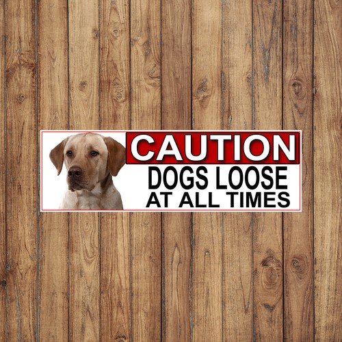 Yellow labrador caution - yellow,