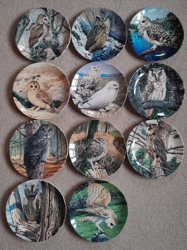 Choose one more plates the - one,