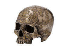 Thistle Flying Dragon Coat of