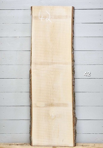 Maple live edge - edge, x