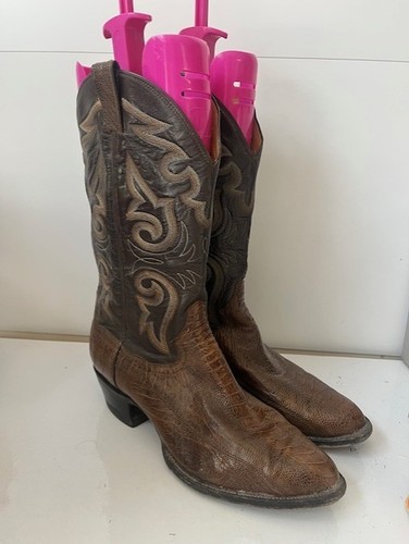 Panhandle slim snake - slim,