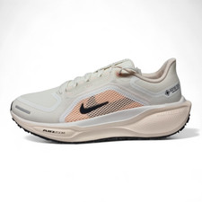 Nike Air Zoom Pegasus 41 GTX Gore-Tex Gym Running Trainers | FQ1357 100