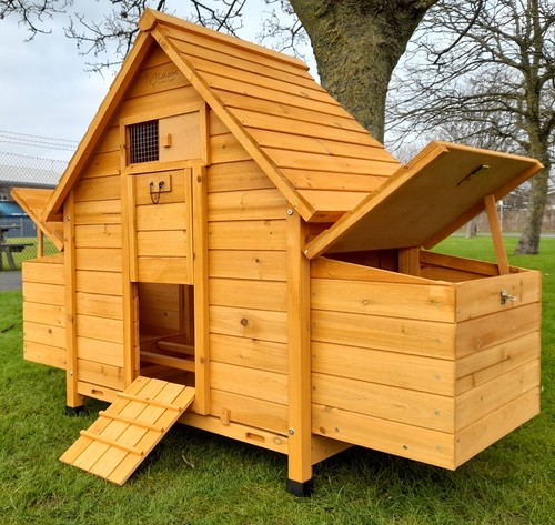 Chicken coop run hen house - hen,