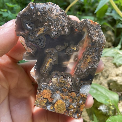 Unique plume agate rough - unique,