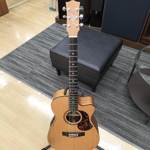 Maton srs808c electric - maton,