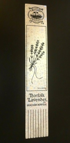 Norfolk lavender heacham - norfolk,