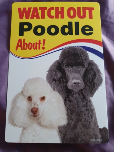 Watch out poodle about - out,