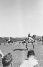 C. 1948 Horse "Sirocco"