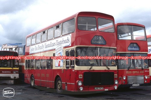Bus photo kelvin - kelvin, central