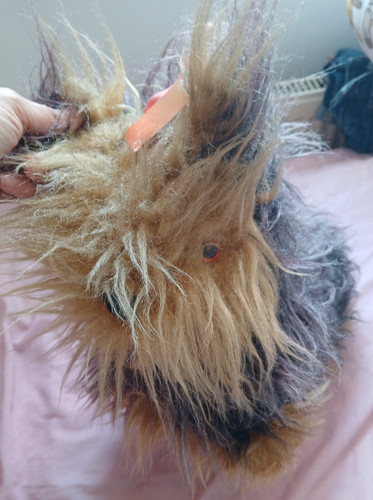 Vintage yorkshire terrier - vintage, sort