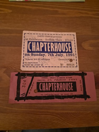 Chapterhouse concert - 2,