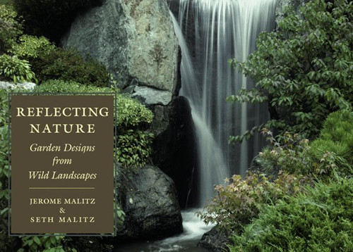 Reflecting nature garden - reflecting, nature: