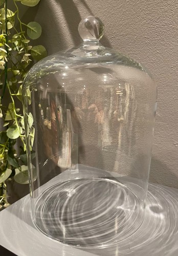 Vintage glass dome display - vintage,