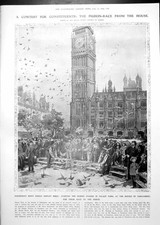 Old Homing Pigeon Race Houses Parliament North Science Jottings 1913 20th