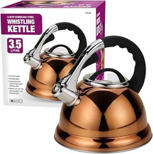 Large whistling kettle - whistling,