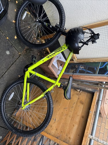 Challenge green bike not sure - green,