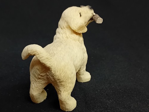 Leonardo golden retriever - 'golden,