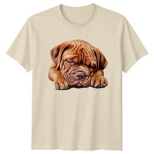 Sleeping Dogue De Bordeaux Dog