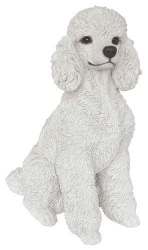 Vivid arts toy poodle - vivid,