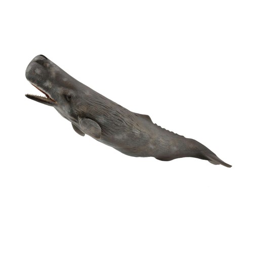 Collecta sperm whale - collecta,