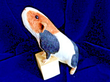 Sherratt & Simpson   55206    Guinea Pig Sniffing air paws up  ornament Figurine