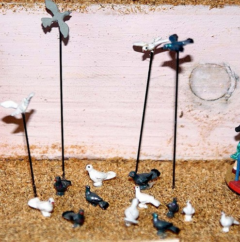 Doves pigeons f148 - pigeons,